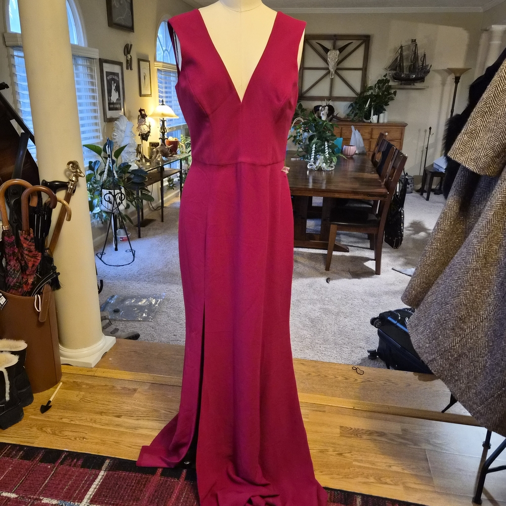 Dress the Population Fuchsia V-Neck Maxi Dress